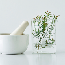 100 % естественность: твой гид по продуктам с натуральными ингредиентами.